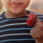 Como Tirar Nódoas da Fruta da Roupa